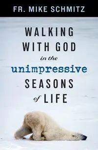 Walking with God in the Unimpressive Seasons of Life - Mike Schmitz Fr.