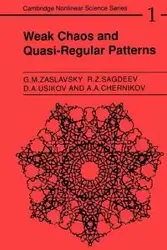 Weak Chaos and Quasi-Regular Patterns - Zaslavskii G. M.