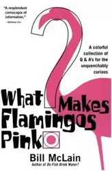 What Makes Flamingos Pink? - Bill McLain