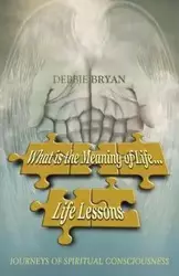 What is the Meaning of Life... Life Lessons - Bryan Debbie