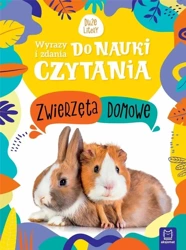 Wyrazy i zdania do nauki czytania Zwierzęta domowe - Monika Basiejko