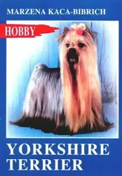 Yorkshire Terrier - Małgorzata Kaca-Bibrich