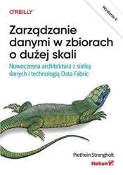 Zarządzanie danymi w zbiorach o dużej skali - Piethein Strengholt