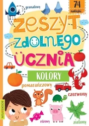 Zeszyt zdolnego ucznia Kolory - praca zbiorowa