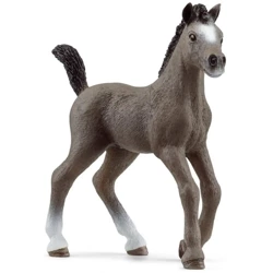 Źrebak rasy cheval de selle francais - SCHLEICH