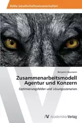 Zusammenarbeitsmodell Agentur Und Konzern - Benjamin Baumann