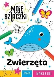 Zwierzęta. Moje szlaczki - praca zbiorowa