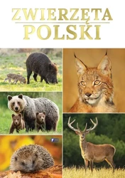 Zwierzęta Polski - praca zbiorowa