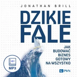 audiobook Dzikie fale - Jonathan Brill