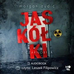 audiobook Jaskółki z Czarnobyla - Morgan Audic