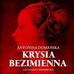 audiobook Krysia Bezimienna - Antonina Domańska