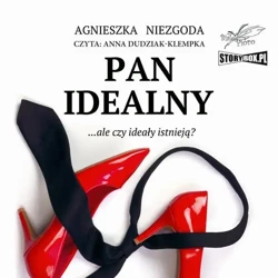 audiobook Pan Idealny - Agnieszka Niezgoda