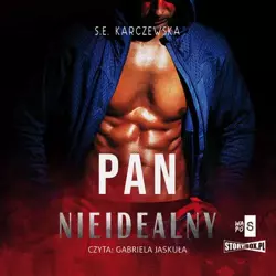 audiobook Pan Nieidealny - S.E. Karczewska