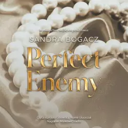 audiobook Perfect enemy - Sandra Bogacz