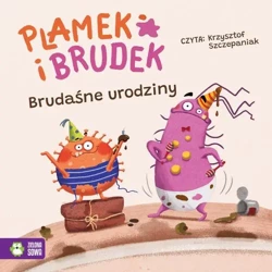 audiobook Plamek i Brudek. Brudaśne urodziny - Jelena Pervan