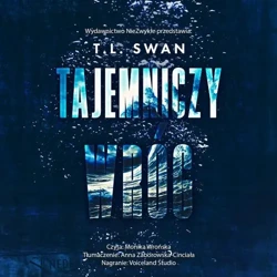 audiobook Tajemniczy wróg - T. L. Swan