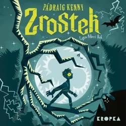 audiobook Zrostek - Kenny Pádraig