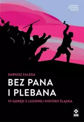 eBook Bez Pana i Plebana - Dariusz Zalega mobi epub