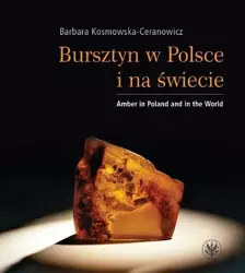 eBook Bursztyn w Polsce i na świecie - Barbara Kosmowska-Ceranowicz