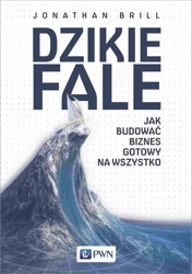 eBook Dzikie fale - Jonathan Brill mobi epub