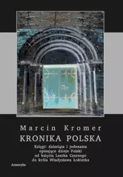 eBook Kronika polska Marcina Kromera, tom 4 - Marcin Kromer