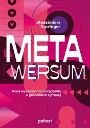 eBook Metawersum: nowe wyzwania dla zarządzania w gospodarce cyfrowej - Włodzimierz Szpringer mobi epub