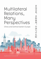 eBook Multilateral Relations, Many Perspectives - Monika Miazek-Męczyńska