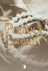 eBook Perfect enemy - Sandra Bogacz epub mobi