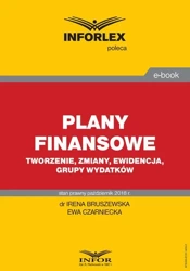 eBook Plany finansowe – tworzenie, zmiany, ewidencja, grupy wydatków - Irena Bruszewska