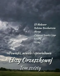 eBook Powieści, nowele i opowiadania Elizy Orzeszkowej. Tom VI - Eliza Orzeszkowa mobi epub