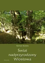 eBook Świat nadprzyrodzony Włostowa - Roman Koseła