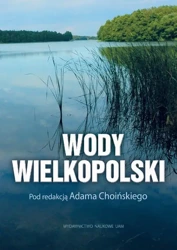 eBook Wody Wielkopolski - Adam Choiński