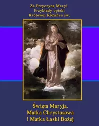 eBook Za Przyczyną Maryi. Przykłady opieki Królowej Różańca św. Święta Maryja, Matka Chrystusowa i Matka Łaski Bożej - Teodor Jakub Naleśniak epub mobi