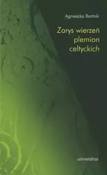 eBook Zarys wierzeń plemion celtyckich - Agnieszka Bartnik