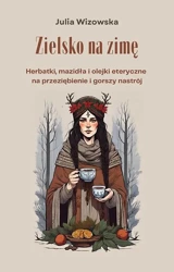 eBook Zielsko na zimę - Julia Wizowska