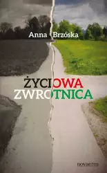 eBook Życiowa zwrotnica - Anna Brzóska epub mobi