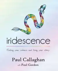 iridescence - Paul Callaghan