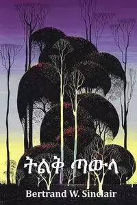 ትልቅ ጣውላ - Sinclair Bertrand W.