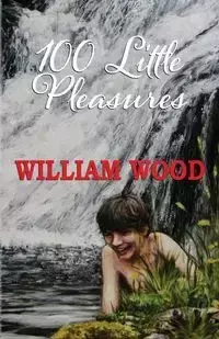 100 Little Pleasures - William Wood