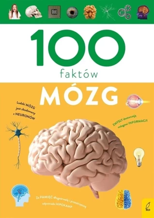 100 faktów. Mózg - Dominik Mukrecki