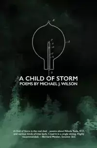 A Child of Storm - J. Wilson Michael