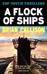 A Flock of Ships - Brian Callison