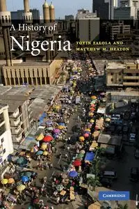 A History of Nigeria - Falola Toyin