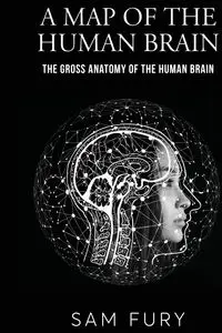 A Map of the Human Brain - Sam Fury