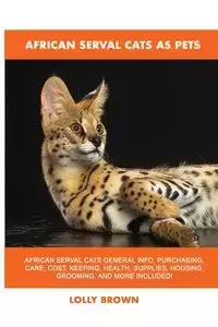 African Serval Cats as Pets - Brown Lolly