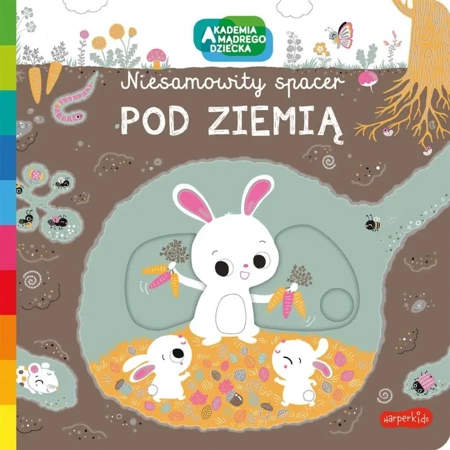 Akademia mądrego dziecka. Pod ziemią - Nathalie Choux, Nathalie Choux, Katarzyna Grzyb