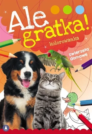 Ale gratka! Zwierzęta domowe - Wydawnictwo Skrzat