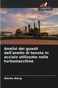 Analisi dei guasti dell'anello di tenuta in acciaio utilizzato nelle turbomacchine - Wang Wenbo