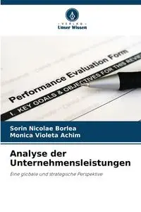 Analyse der Unternehmensleistungen - Borlea Sorin Nicolae