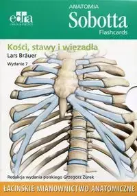 Anatomia Sobotta Flashcards Kości stawy i więzadła - Brauer Lars - 2022